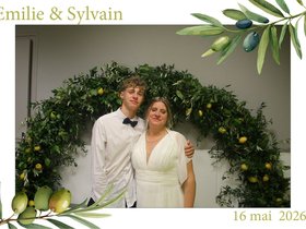 2026-5-17-3-51-58-impression.jpg